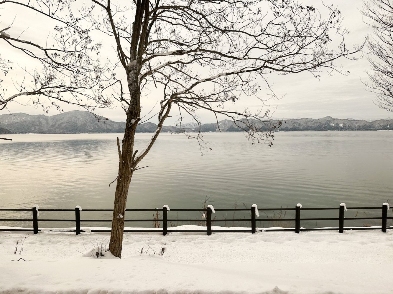 冬季田澤湖16
