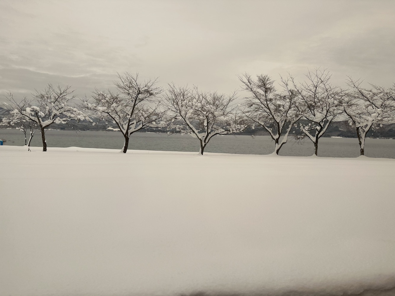 冬季田澤湖18