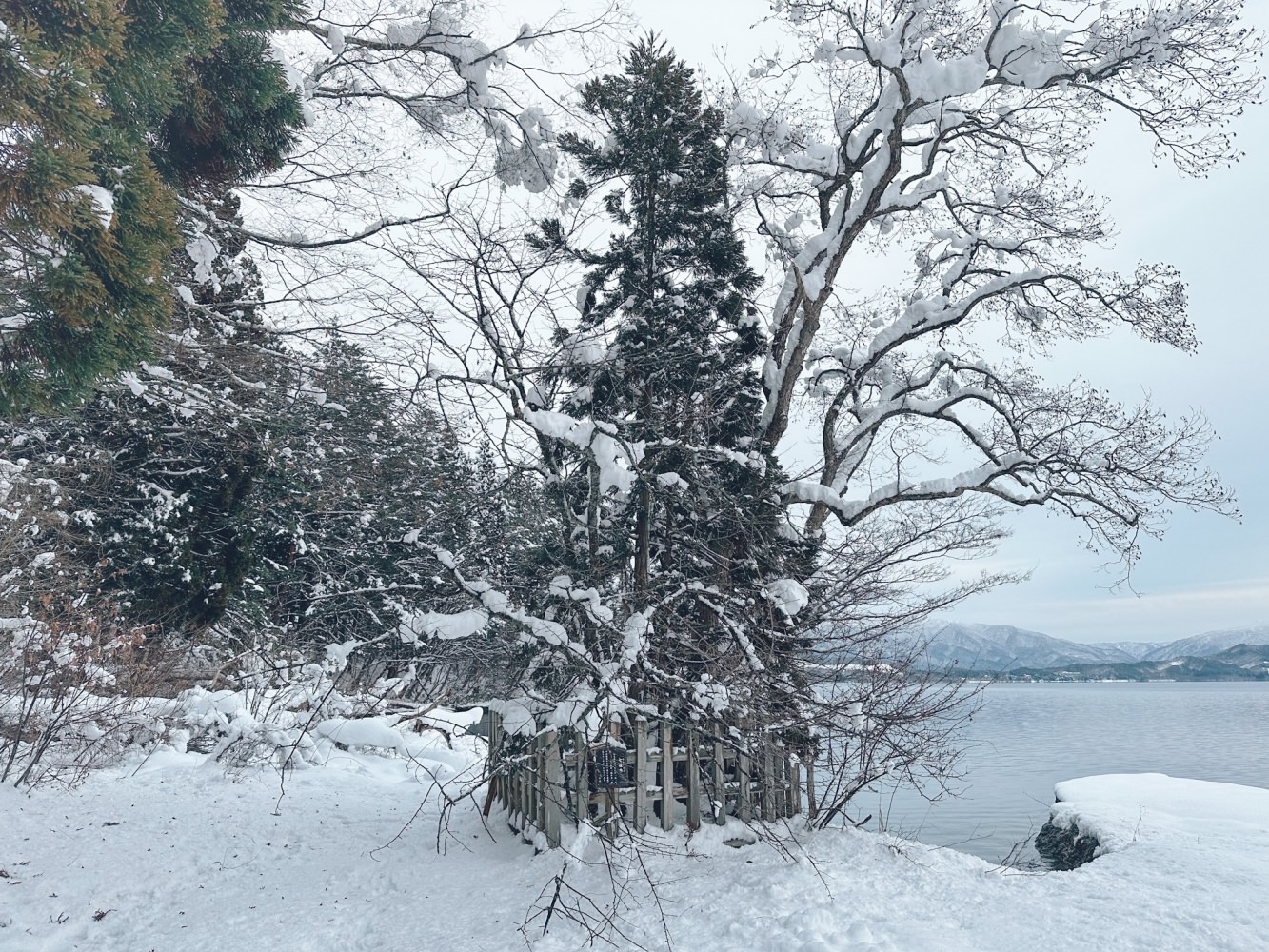 冬季田澤湖41