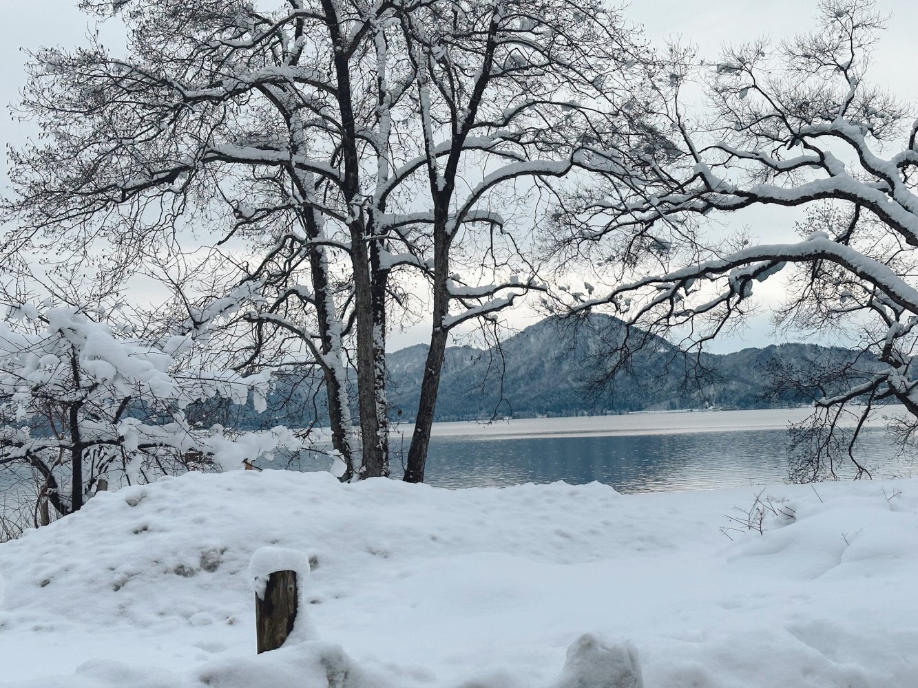 冬季田澤湖49