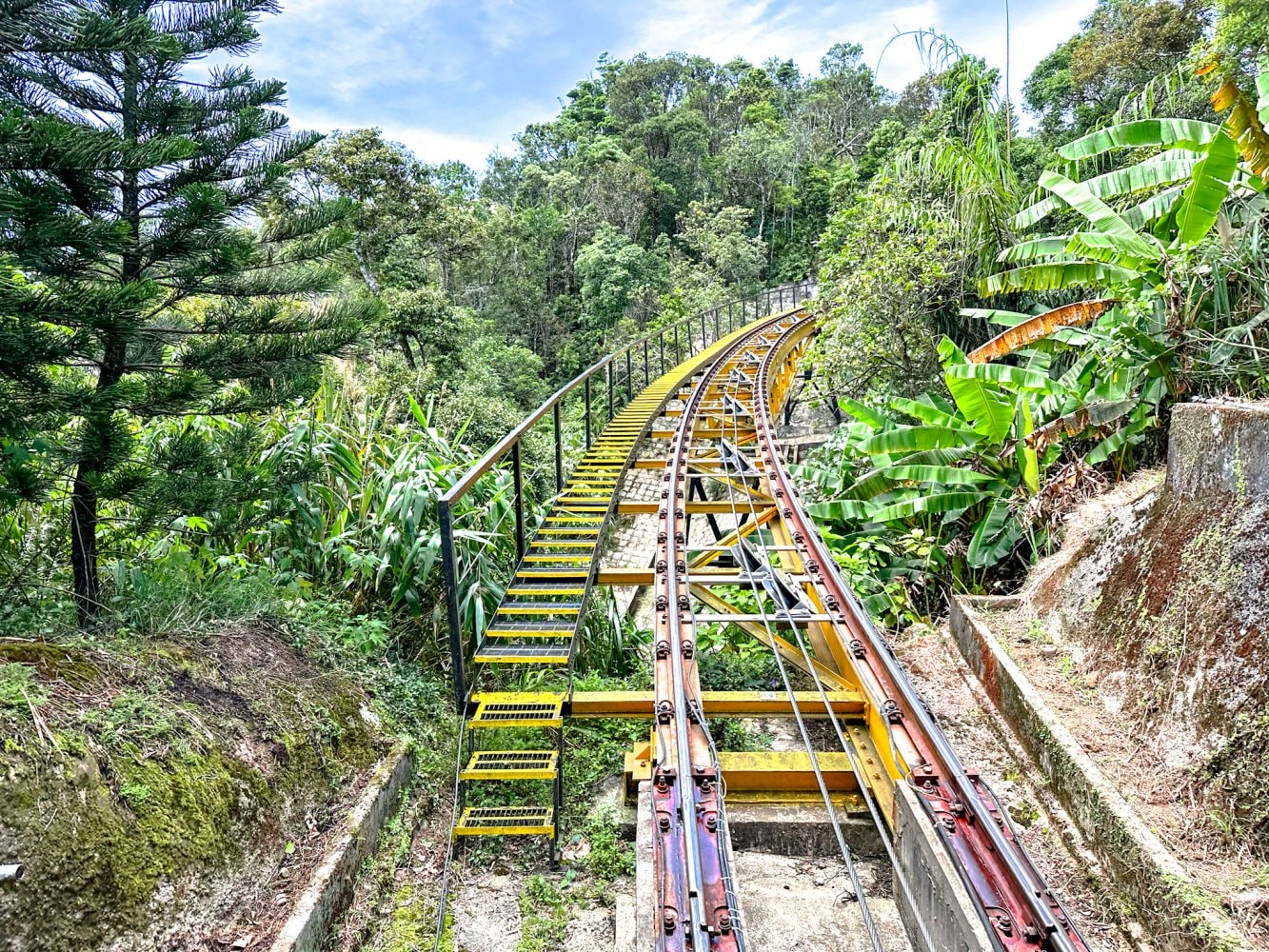 峴港巴拿山47