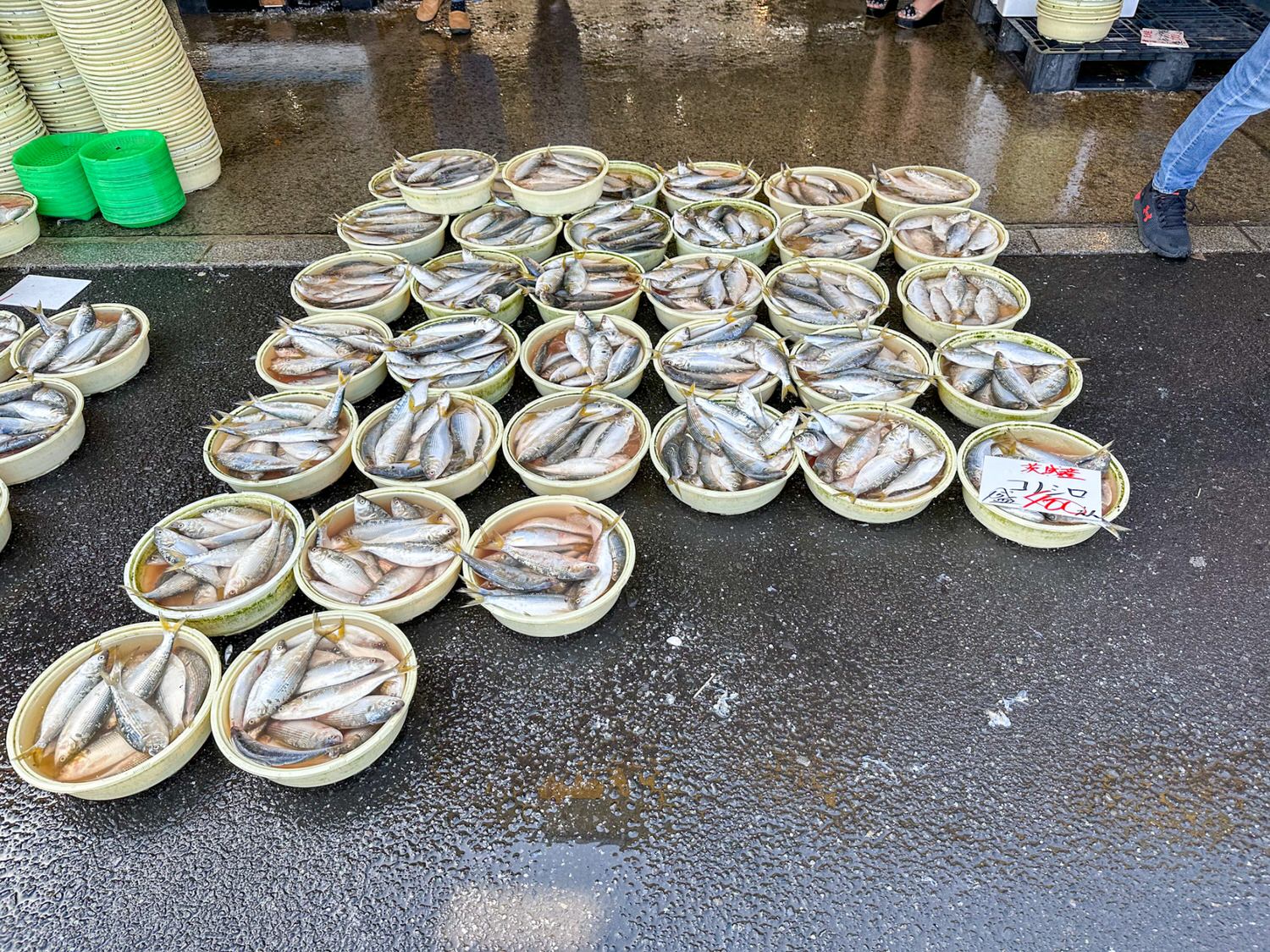 那珂湊魚市場24