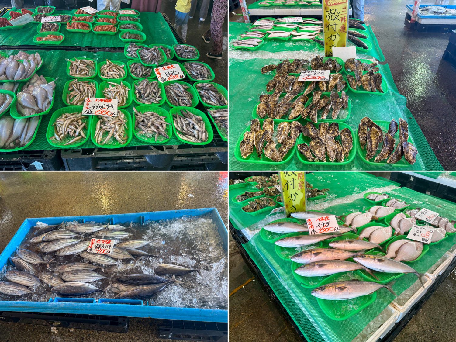 那珂湊魚市場25