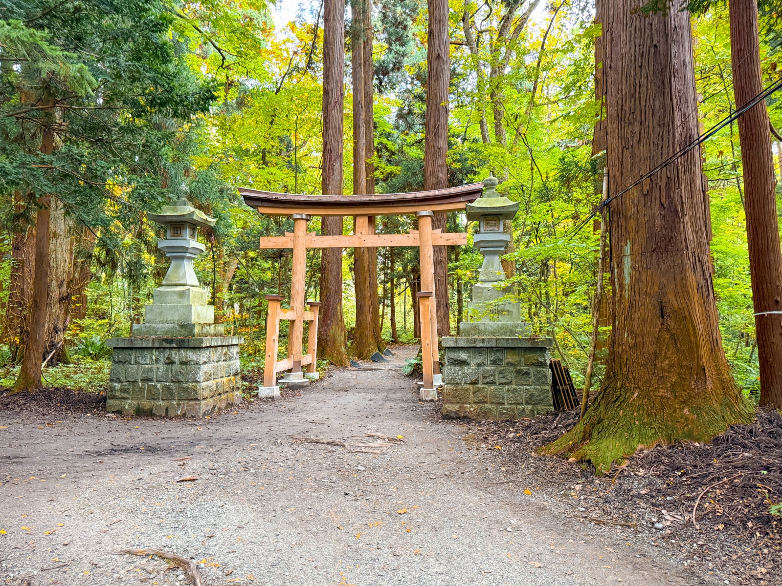 [日本青森]十和田湖  青森必訪湖泊｜必看「乙女像」經典打卡點｜十和田神社森林步道超有氛圍｜湖畔餐廳咖啡多 吃飯休息都方便
