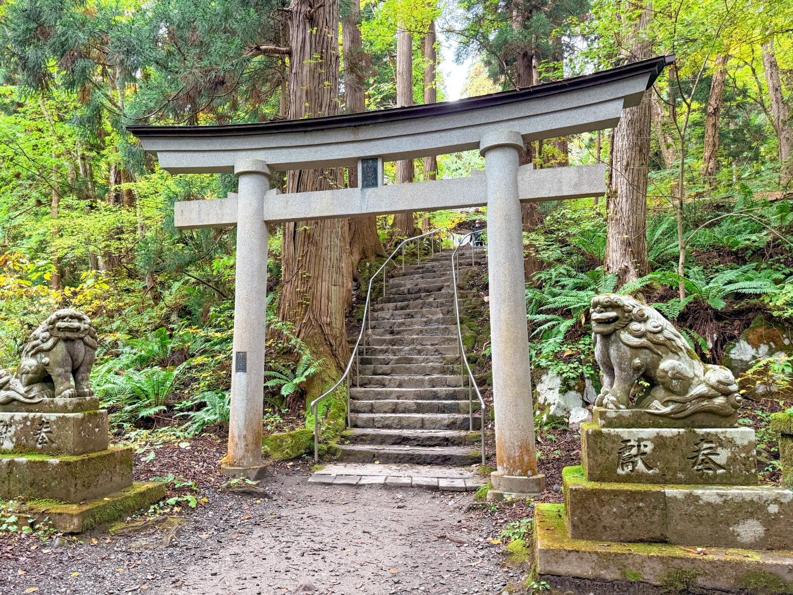 [日本青森]十和田湖  青森必訪湖泊｜必看「乙女像」經典打卡點｜十和田神社森林步道超有氛圍｜湖畔餐廳咖啡多 吃飯休息都方便