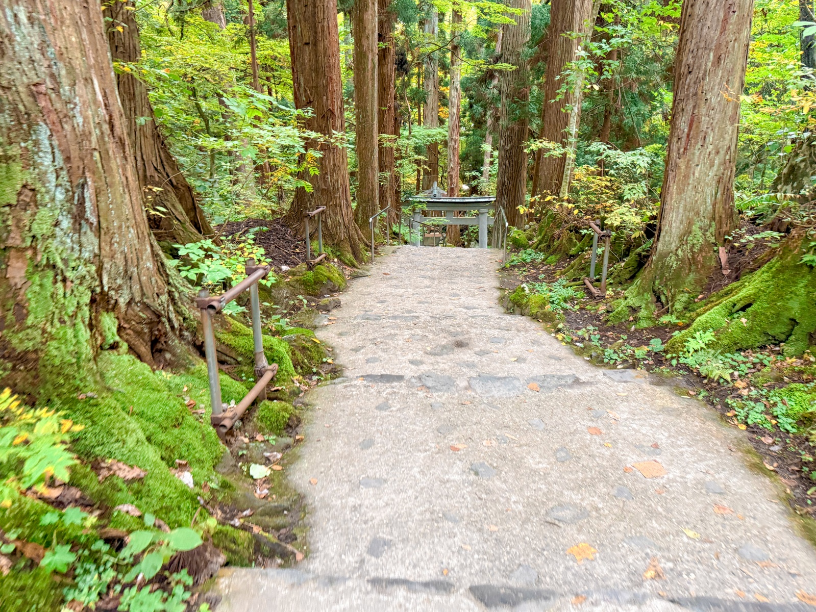[日本青森]十和田湖  青森必訪湖泊｜必看「乙女像」經典打卡點｜十和田神社森林步道超有氛圍｜湖畔餐廳咖啡多 吃飯休息都方便