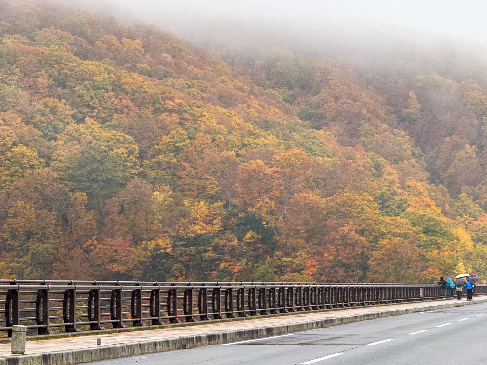 [日本青森]城倉大橋超美壯觀的楓葉峽谷視角｜滿山滿谷紅黃交錯 峽谷瀑布點綴超好拍｜橋上遠望遼闊景色 像一幅水彩畫｜順遊酸湯溫泉與地獄沼 秋楓還有機會遇見初雪
