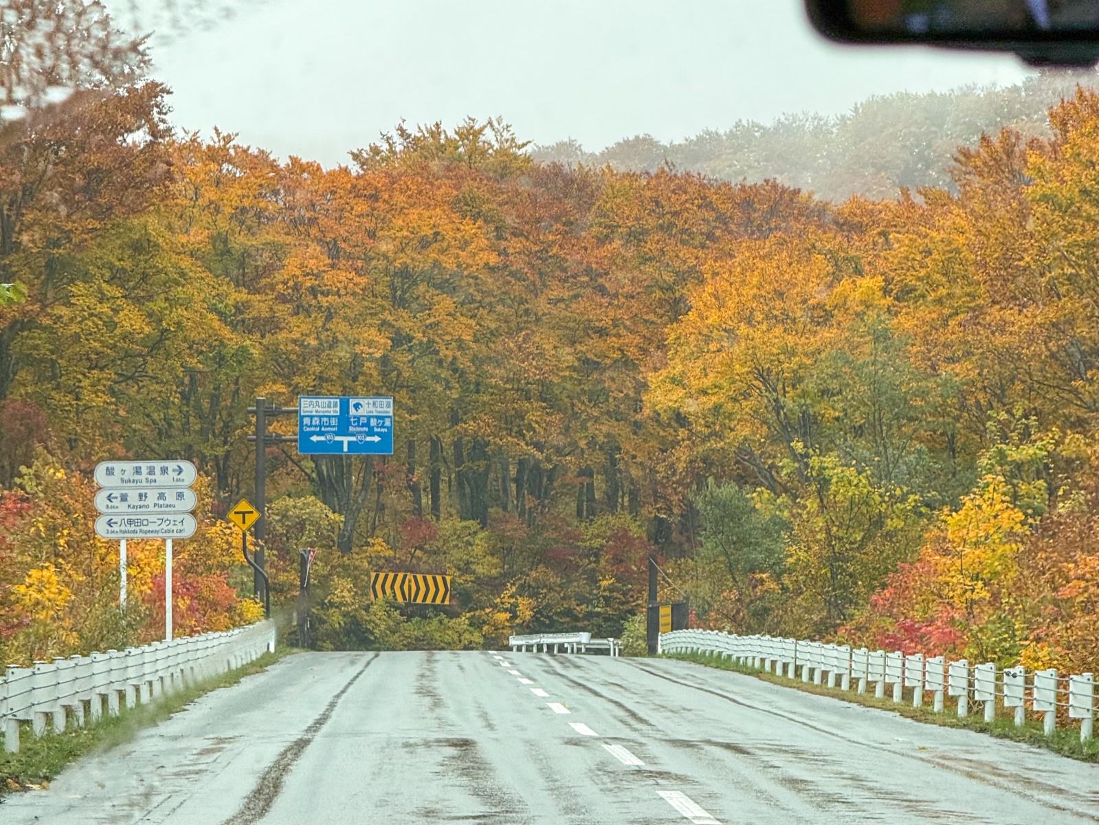 [日本青森]城倉大橋超美壯觀的楓葉峽谷視角｜滿山滿谷紅黃交錯 峽谷瀑布點綴超好拍｜橋上遠望遼闊景色 像一幅水彩畫｜順遊酸湯溫泉與地獄沼 秋楓還有機會遇見初雪