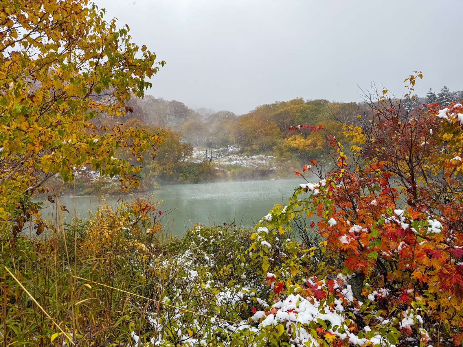 [日本青森]城倉大橋超美壯觀的楓葉峽谷視角｜滿山滿谷紅黃交錯 峽谷瀑布點綴超好拍｜橋上遠望遼闊景色 像一幅水彩畫｜順遊酸湯溫泉與地獄沼 秋楓還有機會遇見初雪