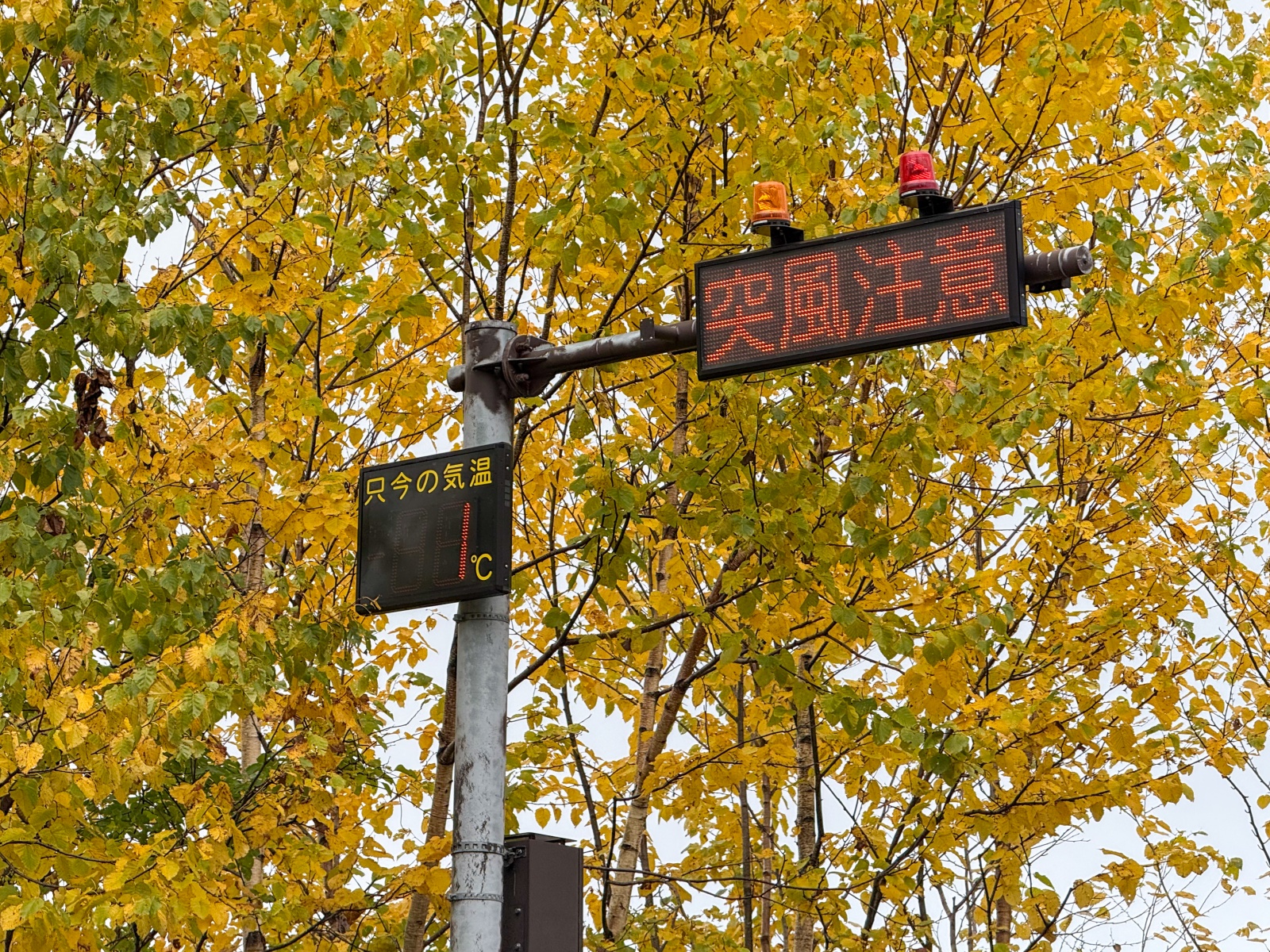 [日本青森]城倉大橋超美壯觀的楓葉峽谷視角｜滿山滿谷紅黃交錯 峽谷瀑布點綴超好拍｜橋上遠望遼闊景色 像一幅水彩畫｜順遊酸湯溫泉與地獄沼 秋楓還有機會遇見初雪