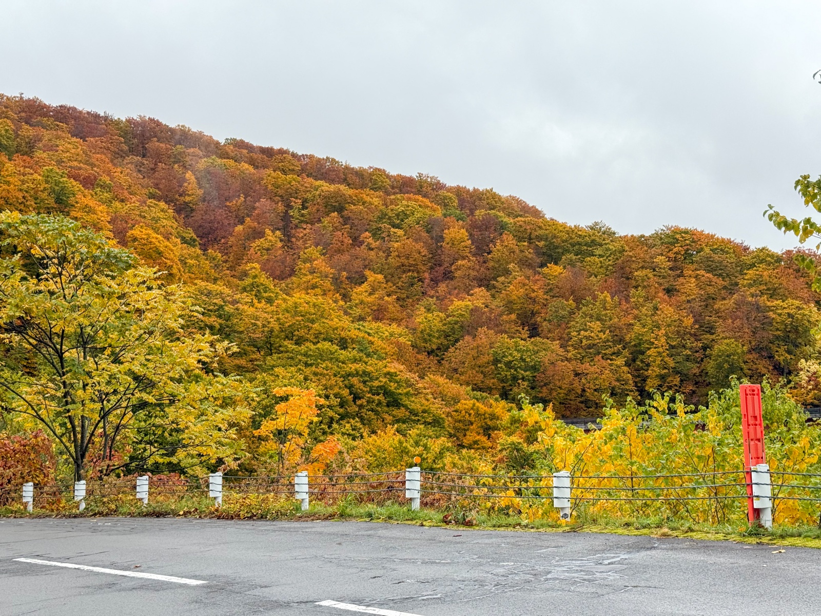 [日本青森]城倉大橋超美壯觀的楓葉峽谷視角｜滿山滿谷紅黃交錯 峽谷瀑布點綴超好拍｜橋上遠望遼闊景色 像一幅水彩畫｜順遊酸湯溫泉與地獄沼 秋楓還有機會遇見初雪