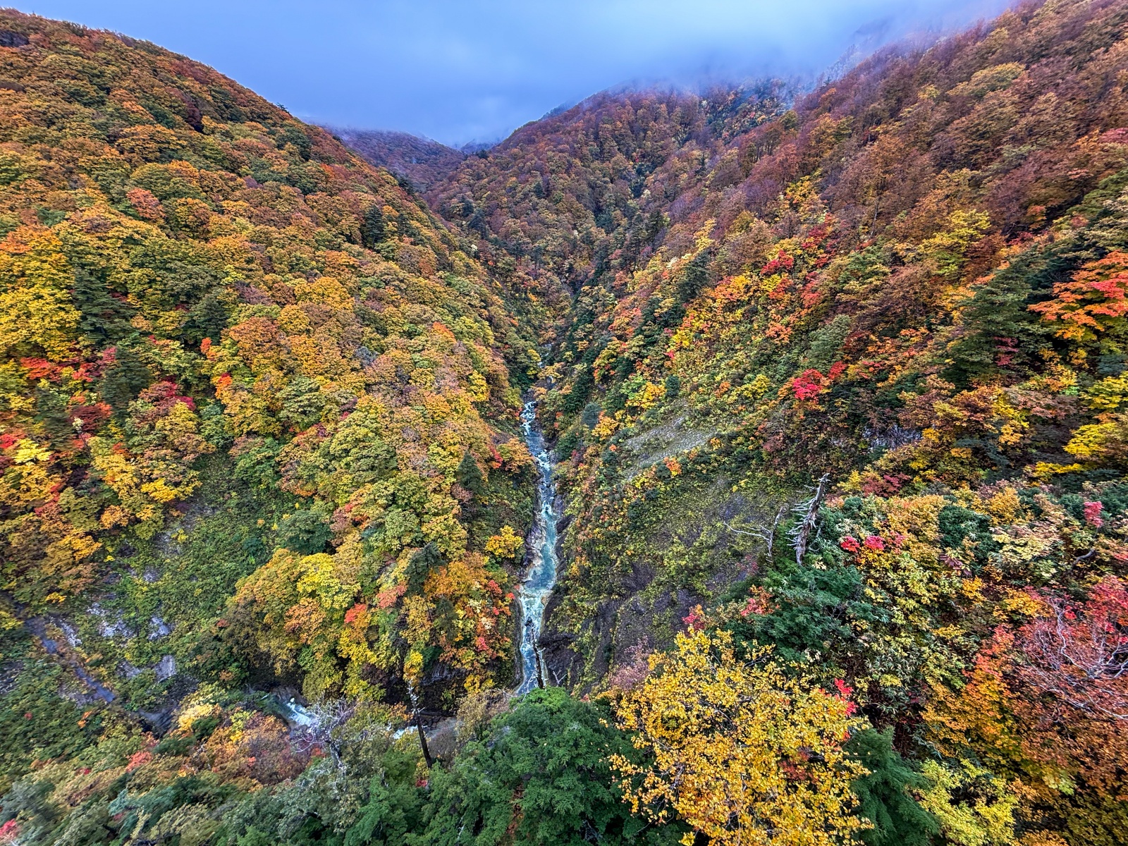 [日本青森]城倉大橋超美壯觀的楓葉峽谷視角｜滿山滿谷紅黃交錯 峽谷瀑布點綴超好拍｜橋上遠望遼闊景色 像一幅水彩畫｜順遊酸湯溫泉與地獄沼 秋楓還有機會遇見初雪