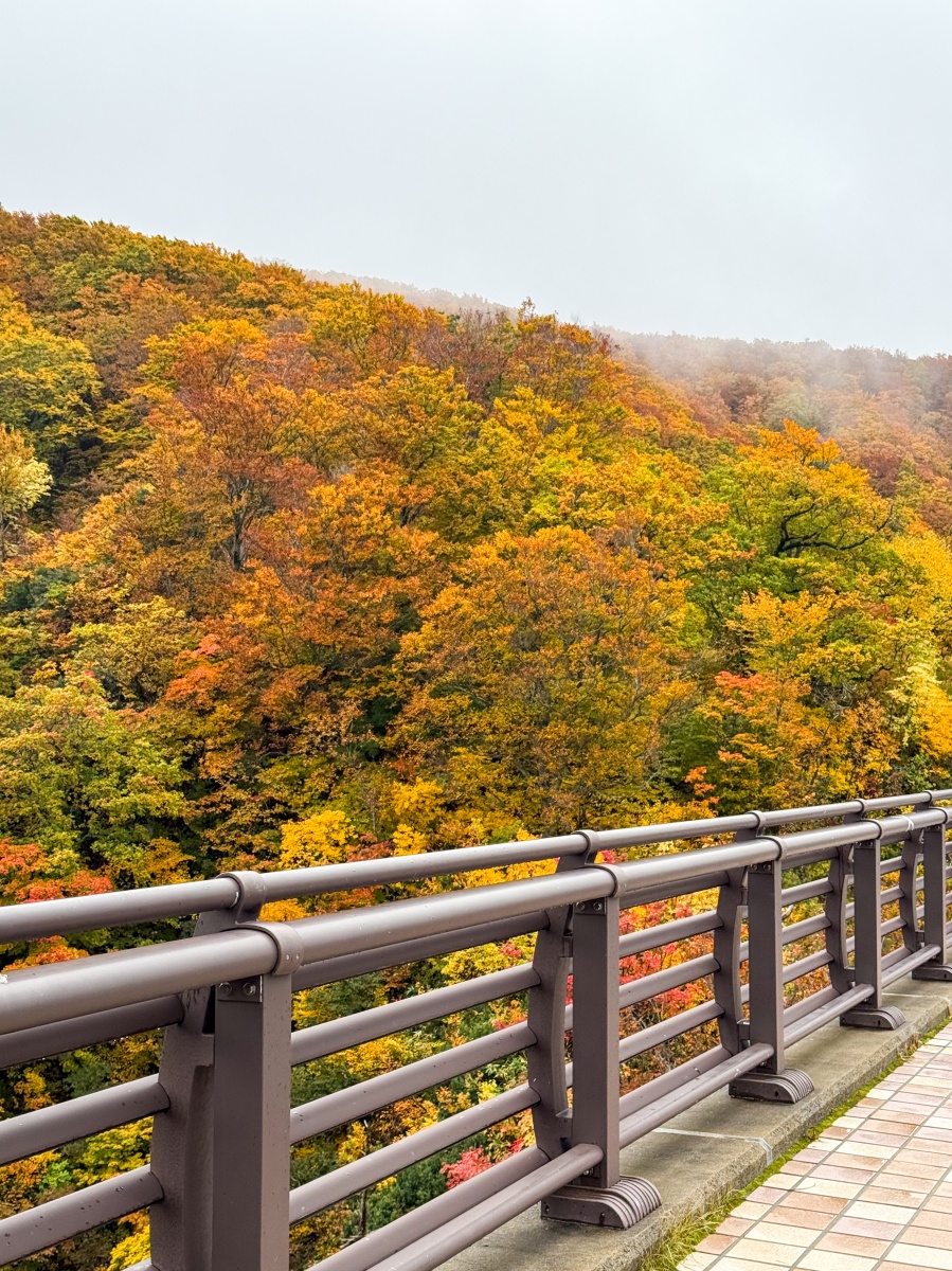 [日本青森]城倉大橋超美壯觀的楓葉峽谷視角｜滿山滿谷紅黃交錯 峽谷瀑布點綴超好拍｜橋上遠望遼闊景色 像一幅水彩畫｜順遊酸湯溫泉與地獄沼 秋楓還有機會遇見初雪