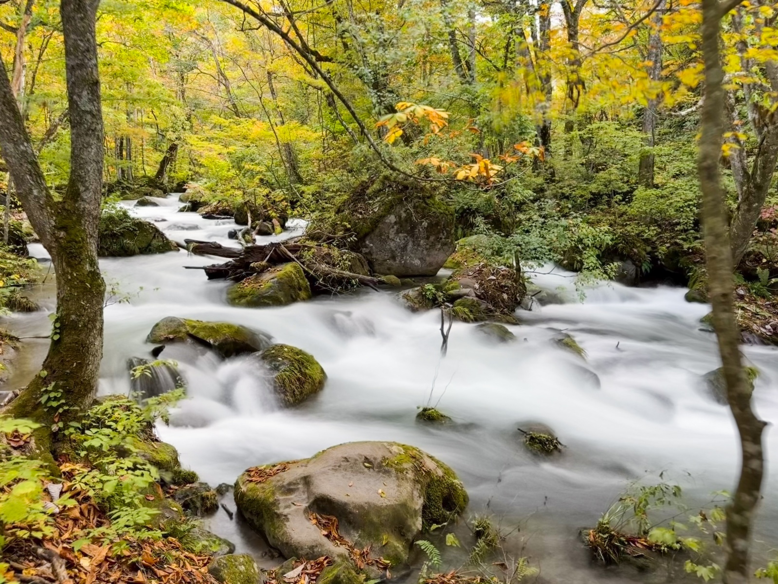 [日本青森]奧入瀨溪流 日本最美溪流之一｜四季皆美 夏綠秋楓冬雪都好美｜必看阿修羅之流＋雲井瀑布＋銚子大瀑｜JR巴士沿線輕鬆玩 休屋看十和田湖景＋溪流館用餐補給