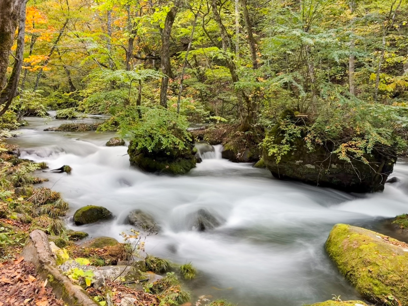 [日本青森]奧入瀨溪流 日本最美溪流之一｜四季皆美 夏綠秋楓冬雪都好美｜必看阿修羅之流＋雲井瀑布＋銚子大瀑｜JR巴士沿線輕鬆玩 休屋看十和田湖景＋溪流館用餐補給