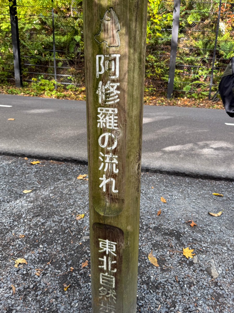 [日本青森]奧入瀨溪流 日本最美溪流之一｜四季皆美 夏綠秋楓冬雪都好美｜必看阿修羅之流＋雲井瀑布＋銚子大瀑｜JR巴士沿線輕鬆玩 休屋看十和田湖景＋溪流館用餐補給