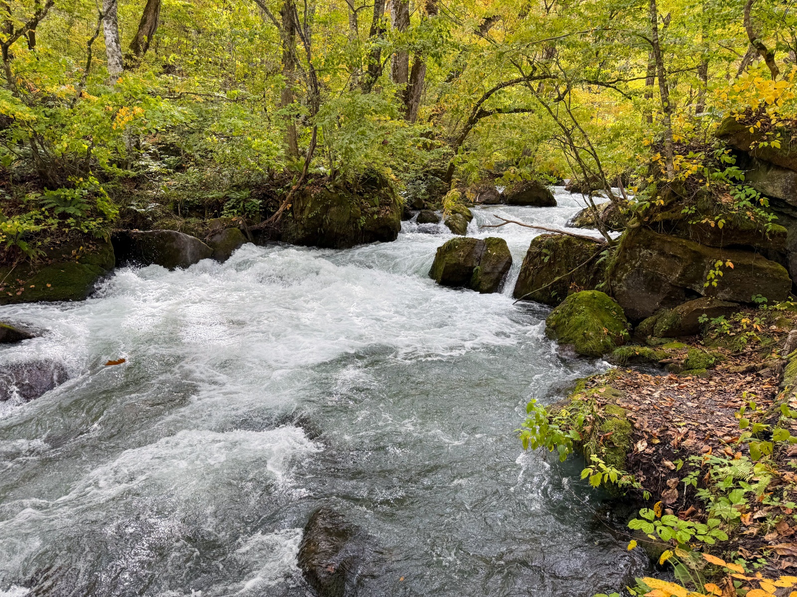 [日本青森]奧入瀨溪流 日本最美溪流之一｜四季皆美 夏綠秋楓冬雪都好美｜必看阿修羅之流＋雲井瀑布＋銚子大瀑｜JR巴士沿線輕鬆玩 休屋看十和田湖景＋溪流館用餐補給