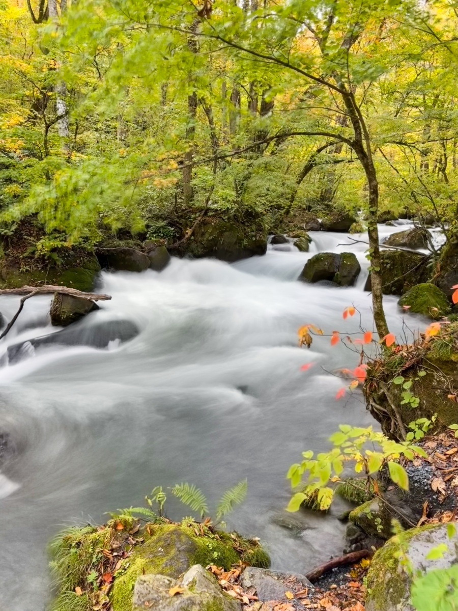 [日本青森]奧入瀨溪流 日本最美溪流之一｜四季皆美 夏綠秋楓冬雪都好美｜必看阿修羅之流＋雲井瀑布＋銚子大瀑｜JR巴士沿線輕鬆玩 休屋看十和田湖景＋溪流館用餐補給