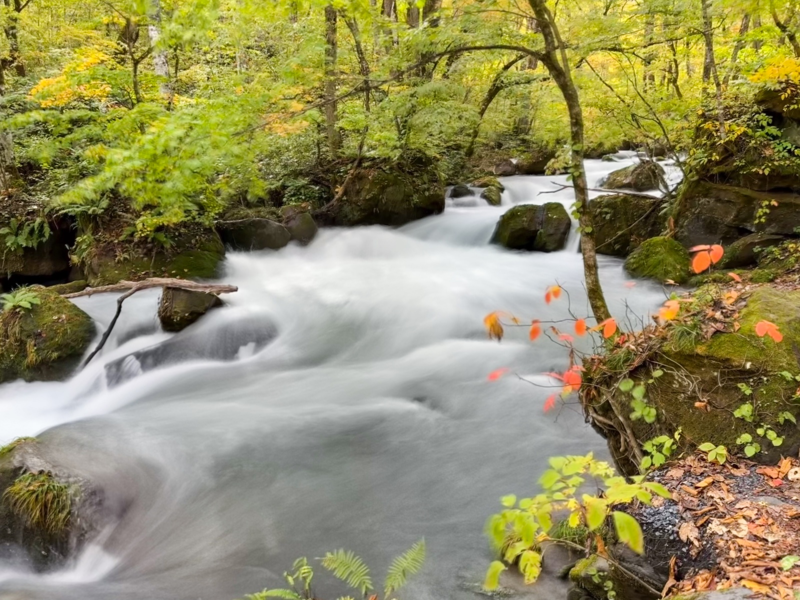 [日本青森]奧入瀨溪流 日本最美溪流之一｜四季皆美 夏綠秋楓冬雪都好美｜必看阿修羅之流＋雲井瀑布＋銚子大瀑｜JR巴士沿線輕鬆玩 休屋看十和田湖景＋溪流館用餐補給