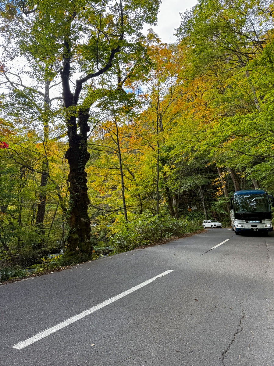 [日本青森]奧入瀨溪流 日本最美溪流之一｜四季皆美 夏綠秋楓冬雪都好美｜必看阿修羅之流＋雲井瀑布＋銚子大瀑｜JR巴士沿線輕鬆玩 休屋看十和田湖景＋溪流館用餐補給