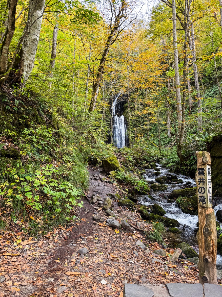 [日本青森]奧入瀨溪流 日本最美溪流之一｜四季皆美 夏綠秋楓冬雪都好美｜必看阿修羅之流＋雲井瀑布＋銚子大瀑｜JR巴士沿線輕鬆玩 休屋看十和田湖景＋溪流館用餐補給