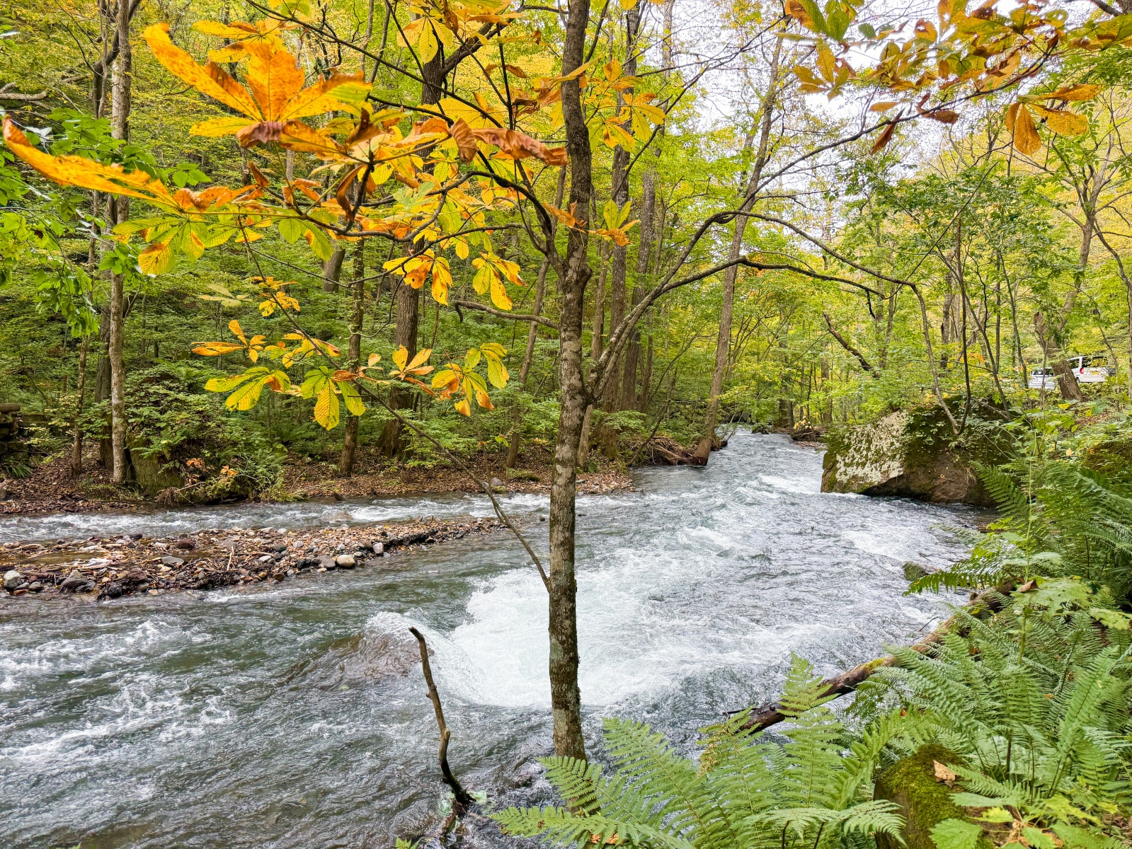[日本青森]奧入瀨溪流 日本最美溪流之一｜四季皆美 夏綠秋楓冬雪都好美｜必看阿修羅之流＋雲井瀑布＋銚子大瀑｜JR巴士沿線輕鬆玩 休屋看十和田湖景＋溪流館用餐補給