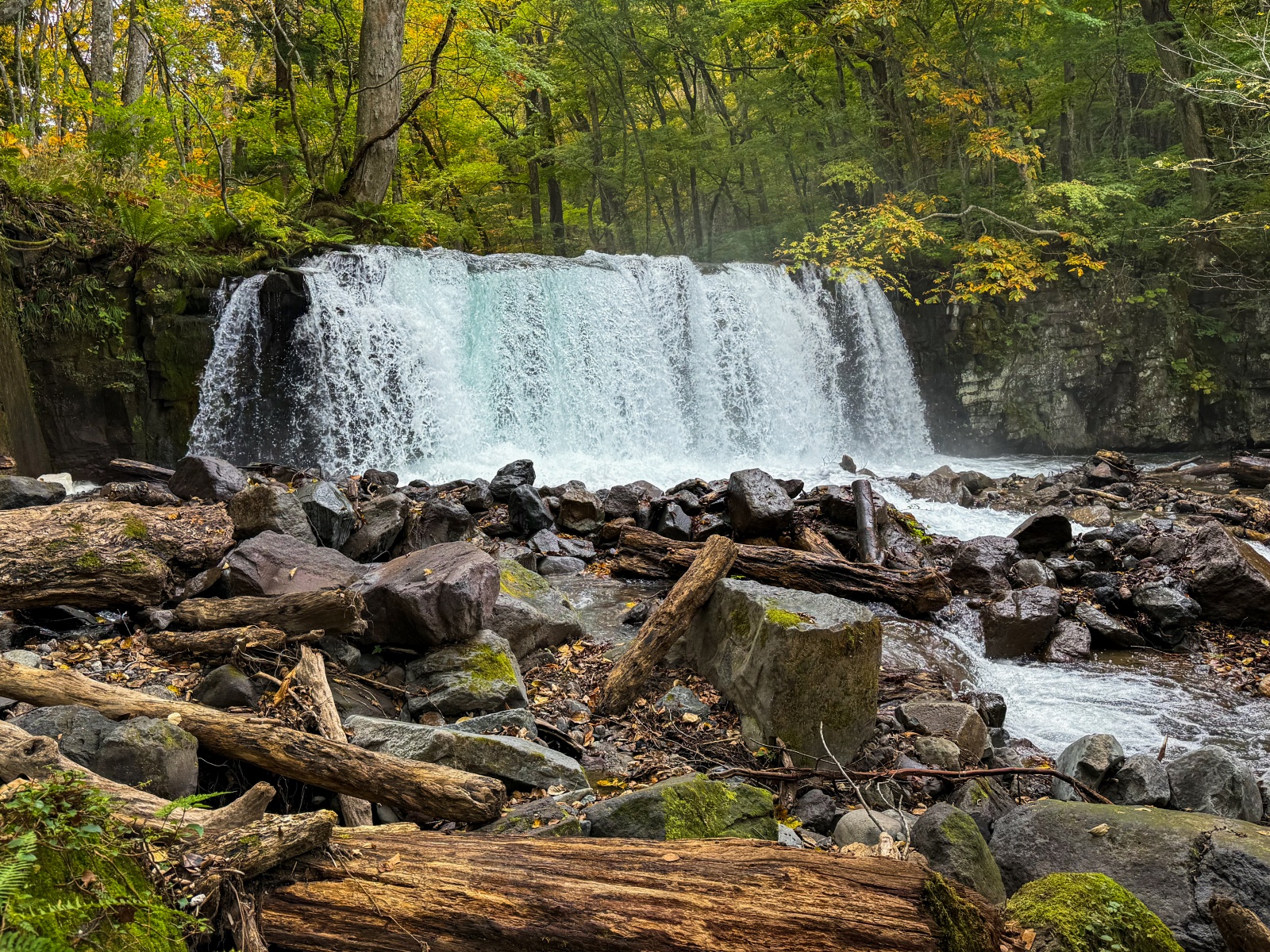 [日本青森]奧入瀨溪流 日本最美溪流之一｜四季皆美 夏綠秋楓冬雪都好美｜必看阿修羅之流＋雲井瀑布＋銚子大瀑｜JR巴士沿線輕鬆玩 休屋看十和田湖景＋溪流館用餐補給