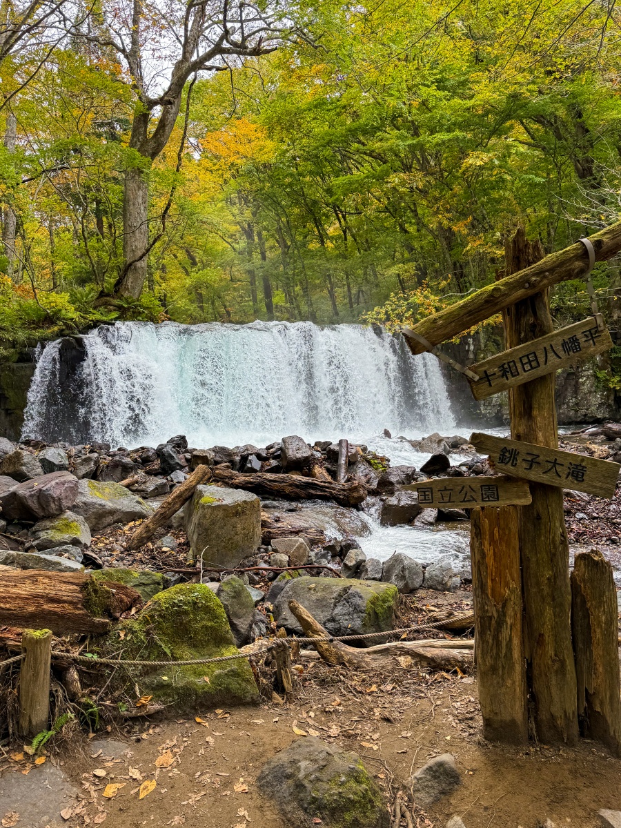 [日本青森]奧入瀨溪流 日本最美溪流之一｜四季皆美 夏綠秋楓冬雪都好美｜必看阿修羅之流＋雲井瀑布＋銚子大瀑｜JR巴士沿線輕鬆玩 休屋看十和田湖景＋溪流館用餐補給