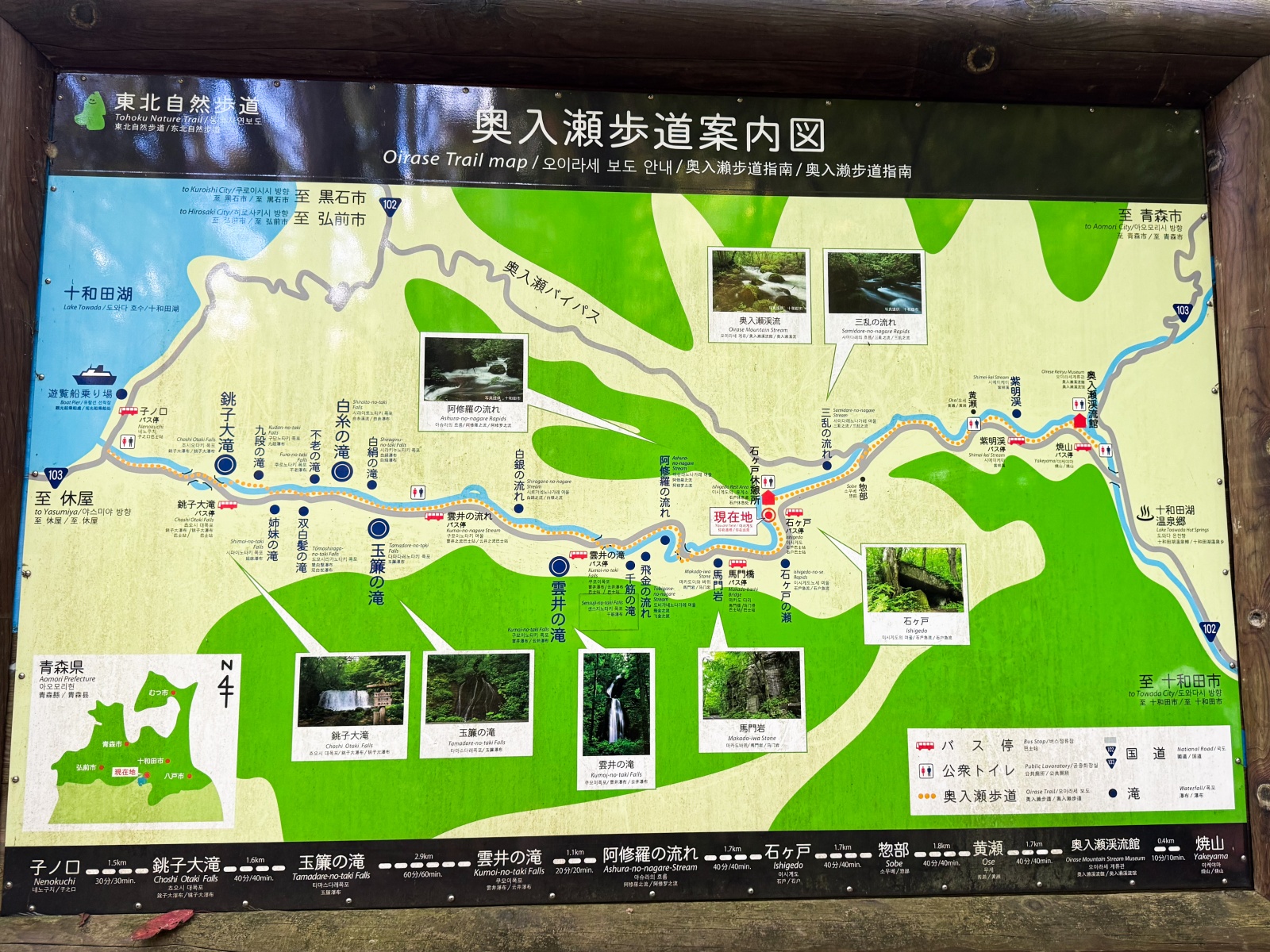 [日本青森]奧入瀨溪流 日本最美溪流之一｜四季皆美 夏綠秋楓冬雪都好美｜必看阿修羅之流＋雲井瀑布＋銚子大瀑｜JR巴士沿線輕鬆玩 休屋看十和田湖景＋溪流館用餐補給