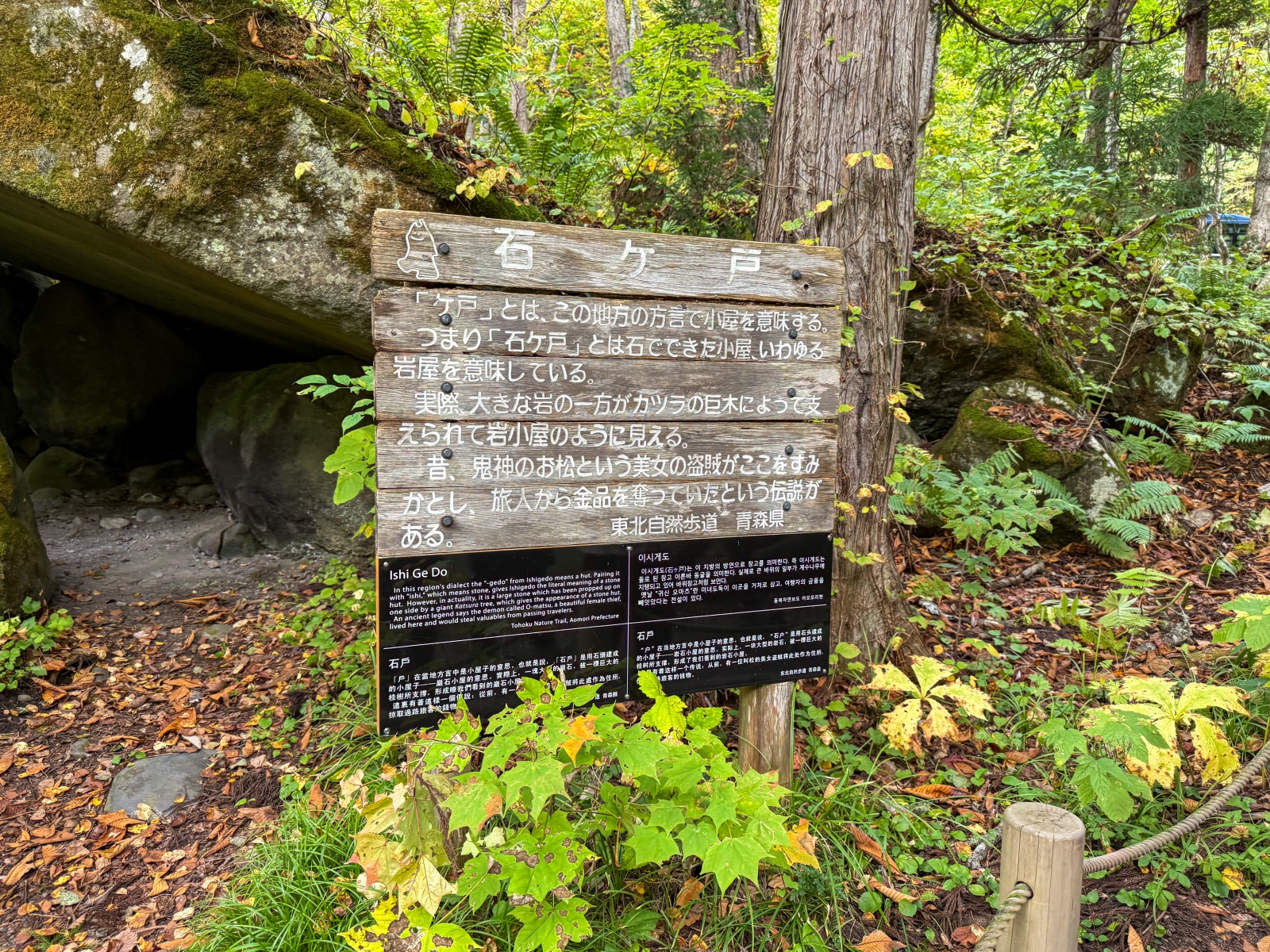 [日本青森]奧入瀨溪流 日本最美溪流之一｜四季皆美 夏綠秋楓冬雪都好美｜必看阿修羅之流＋雲井瀑布＋銚子大瀑｜JR巴士沿線輕鬆玩 休屋看十和田湖景＋溪流館用餐補給