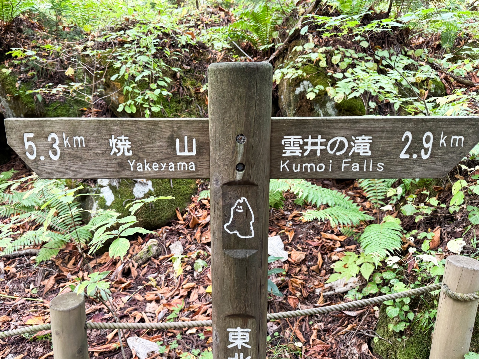 [日本青森]奧入瀨溪流 日本最美溪流之一｜四季皆美 夏綠秋楓冬雪都好美｜必看阿修羅之流＋雲井瀑布＋銚子大瀑｜JR巴士沿線輕鬆玩 休屋看十和田湖景＋溪流館用餐補給