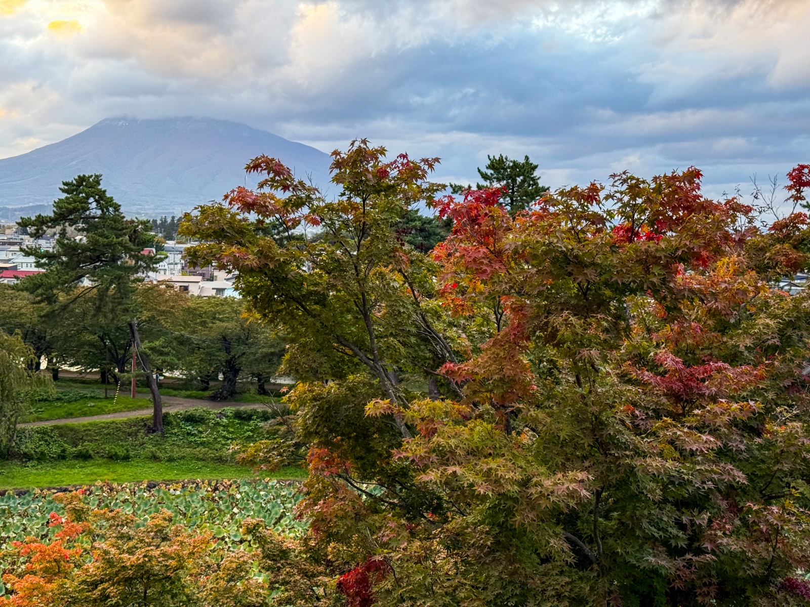 [日本弘前]弘前公園 Hirosaki Park｜見證東北僅存的江戶天守「弘前城」｜櫻花＆楓葉雙季皆美 護城河倒影超好拍｜可遠望岩木山 景色滿分