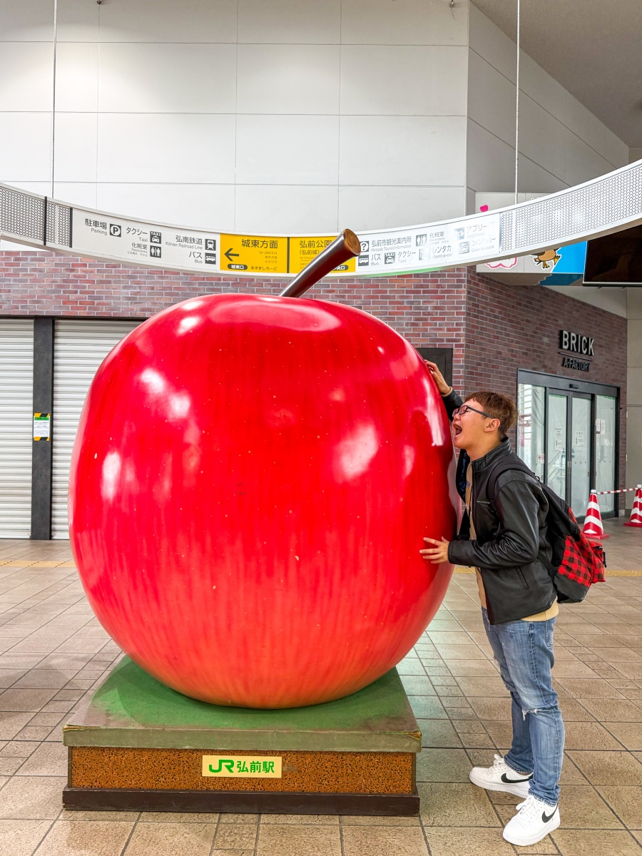 [日本弘前]弘前公園 Hirosaki Park｜見證東北僅存的江戶天守「弘前城」｜櫻花＆楓葉雙季皆美 護城河倒影超好拍｜可遠望岩木山 景色滿分