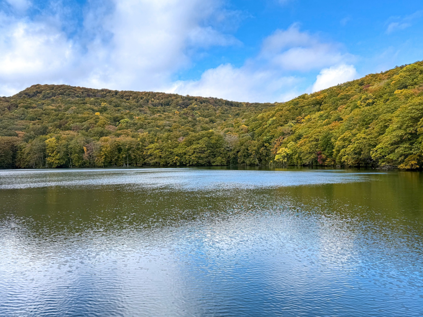 [日本青森]蔦沼 森林裡的靜謐湖泊｜湖面青綠環繞山林 風景優美像小小生態公園｜步道濕地很好走 空氣超清新｜清晨想拍鏡面倒影人超多 要卡位請提早到