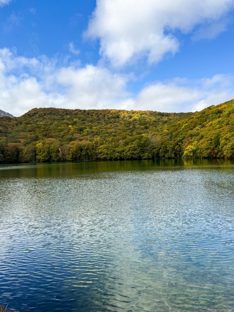[日本青森]蔦沼 森林裡的靜謐湖泊｜湖面青綠環繞山林 風景優美像小小生態公園｜步道濕地很好走 空氣超清新｜清晨想拍鏡面倒影人超多 要卡位請提早到