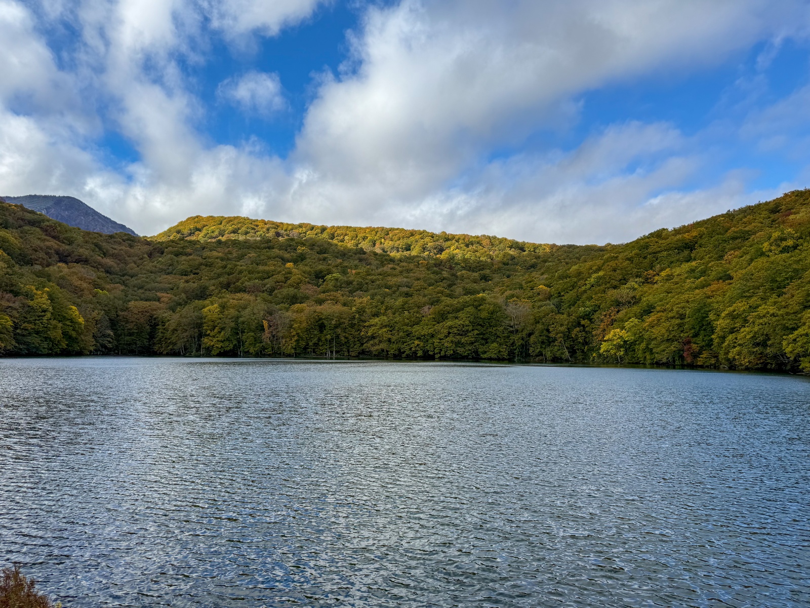 [日本青森]蔦沼 森林裡的靜謐湖泊｜湖面青綠環繞山林 風景優美像小小生態公園｜步道濕地很好走 空氣超清新｜清晨想拍鏡面倒影人超多 要卡位請提早到