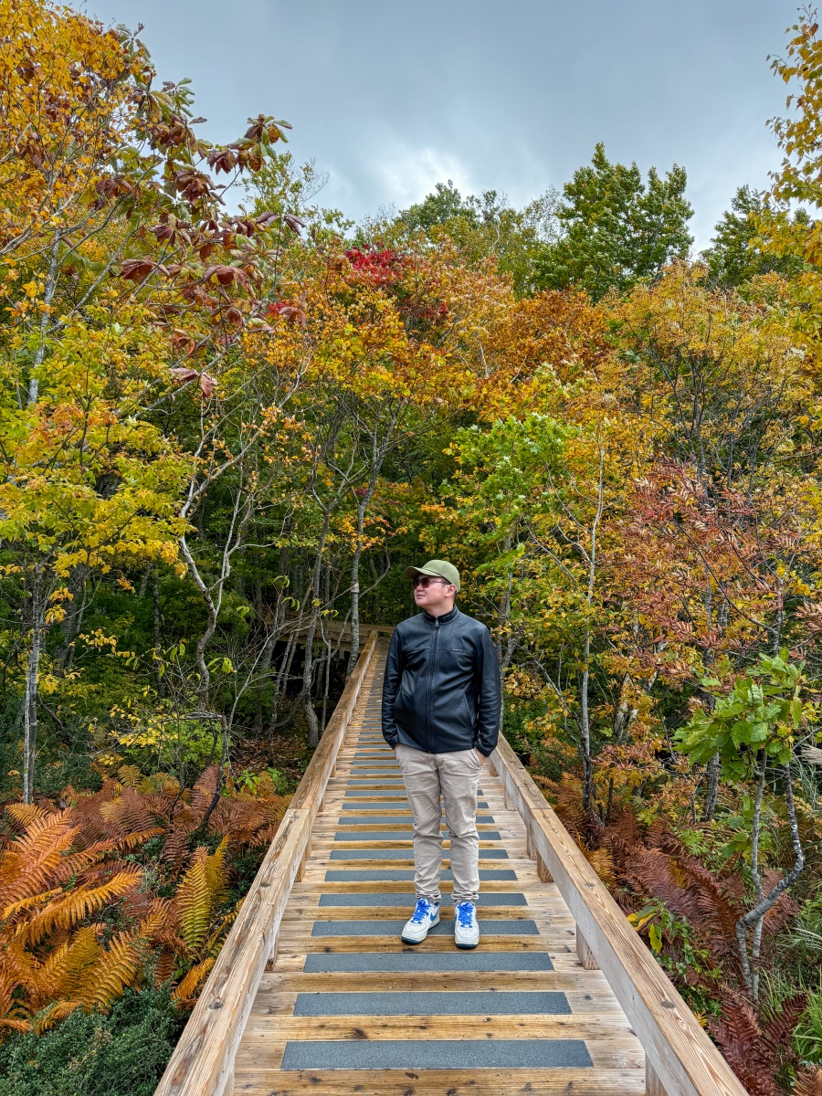 [日本青森]蔦沼 森林裡的靜謐湖泊｜湖面青綠環繞山林 風景優美像小小生態公園｜步道濕地很好走 空氣超清新｜清晨想拍鏡面倒影人超多 要卡位請提早到