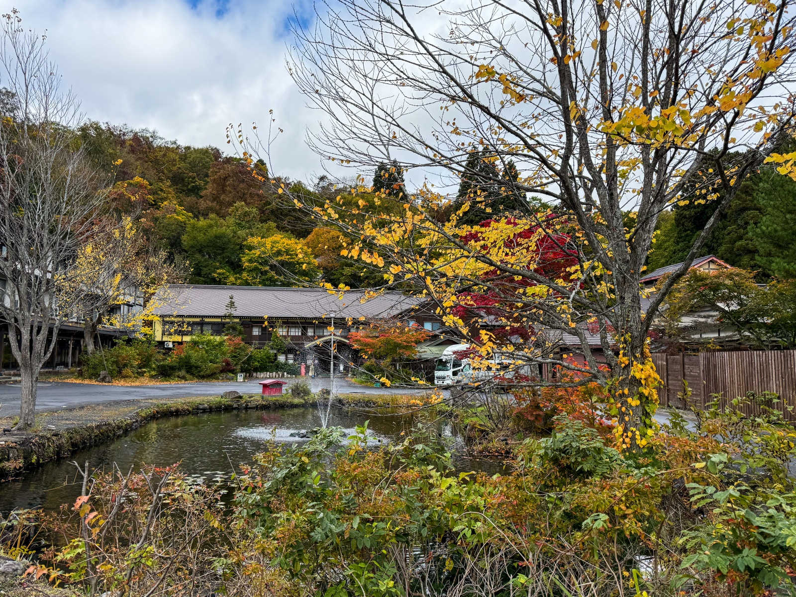 [日本青森]蔦沼 森林裡的靜謐湖泊｜湖面青綠環繞山林 風景優美像小小生態公園｜步道濕地很好走 空氣超清新｜清晨想拍鏡面倒影人超多 要卡位請提早到