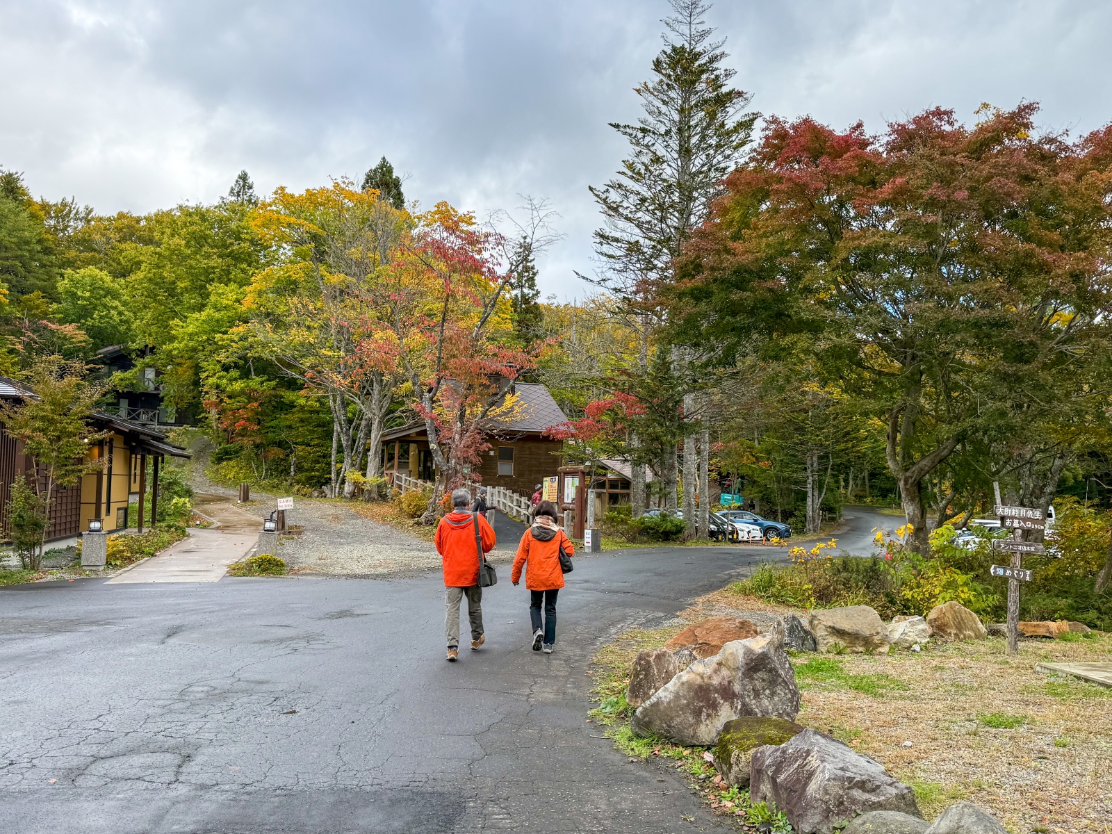 [日本青森]蔦沼 森林裡的靜謐湖泊｜湖面青綠環繞山林 風景優美像小小生態公園｜步道濕地很好走 空氣超清新｜清晨想拍鏡面倒影人超多 要卡位請提早到