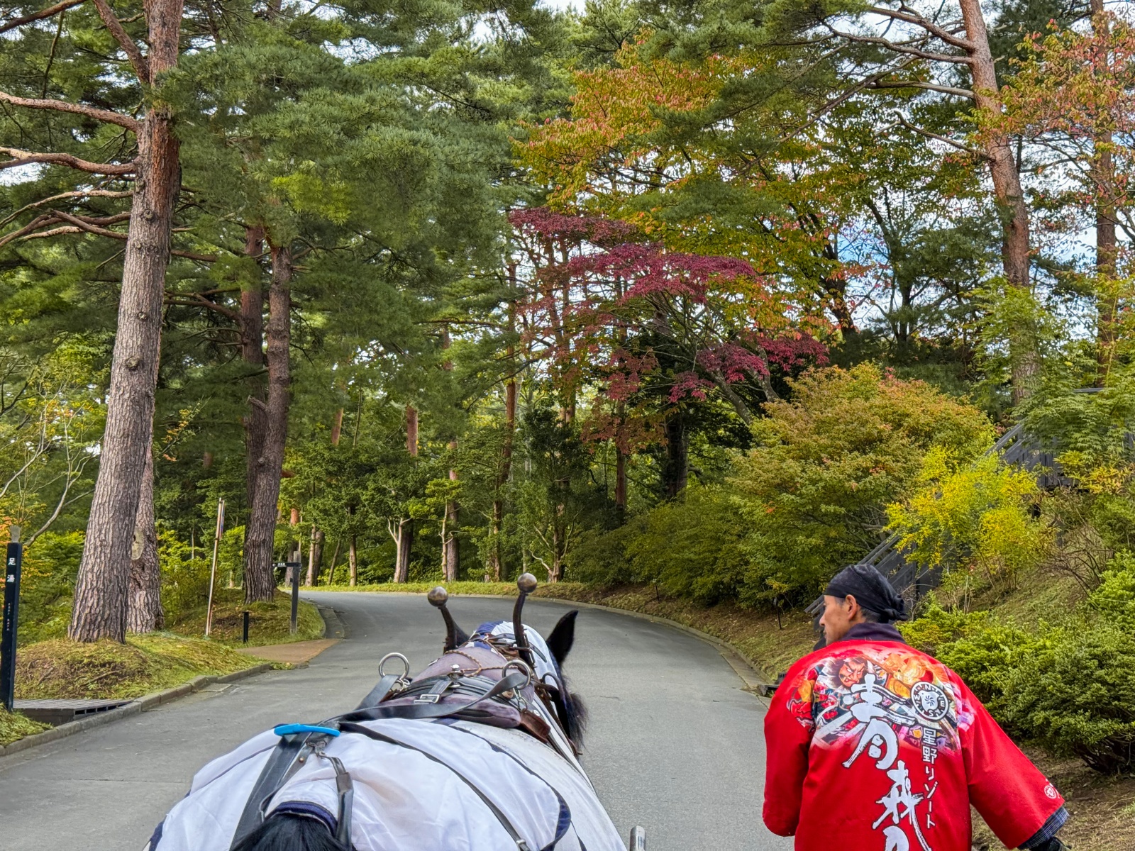 [日本青森]星野集團 青森屋 Hoshino Resorts Aomoriya 溫泉飯店 青森住宿推薦｜蘋果汁水龍頭 浮湯露天溫泉 森林泡湯｜晚餐海鮮自助餐＋早餐鮭魚卵吃到飽｜陸奧祭屋表演必看