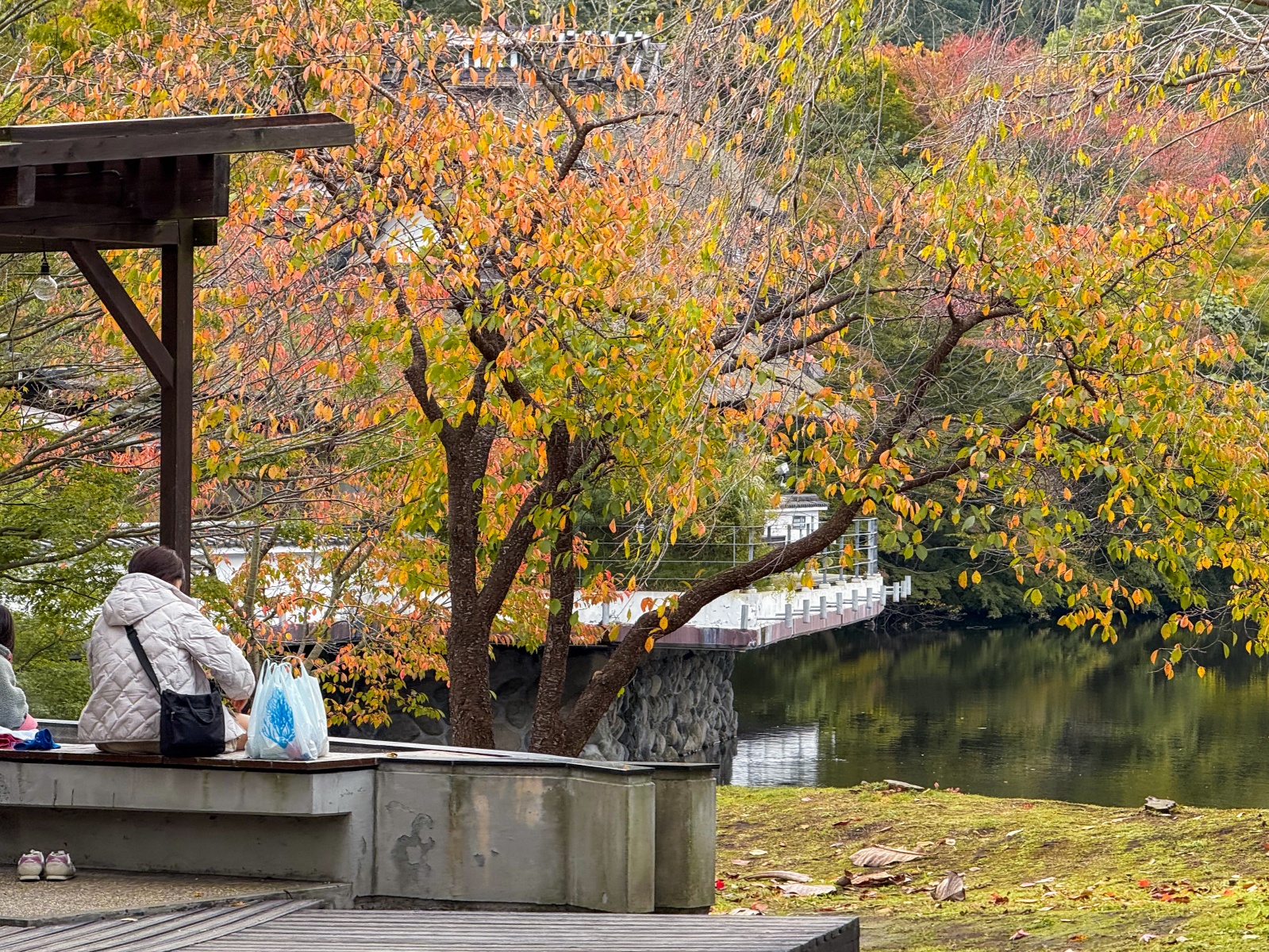 [日本青森]星野集團 青森屋 Hoshino Resorts Aomoriya 溫泉飯店 青森住宿推薦｜蘋果汁水龍頭 浮湯露天溫泉 森林泡湯｜晚餐海鮮自助餐＋早餐鮭魚卵吃到飽｜陸奧祭屋表演必看