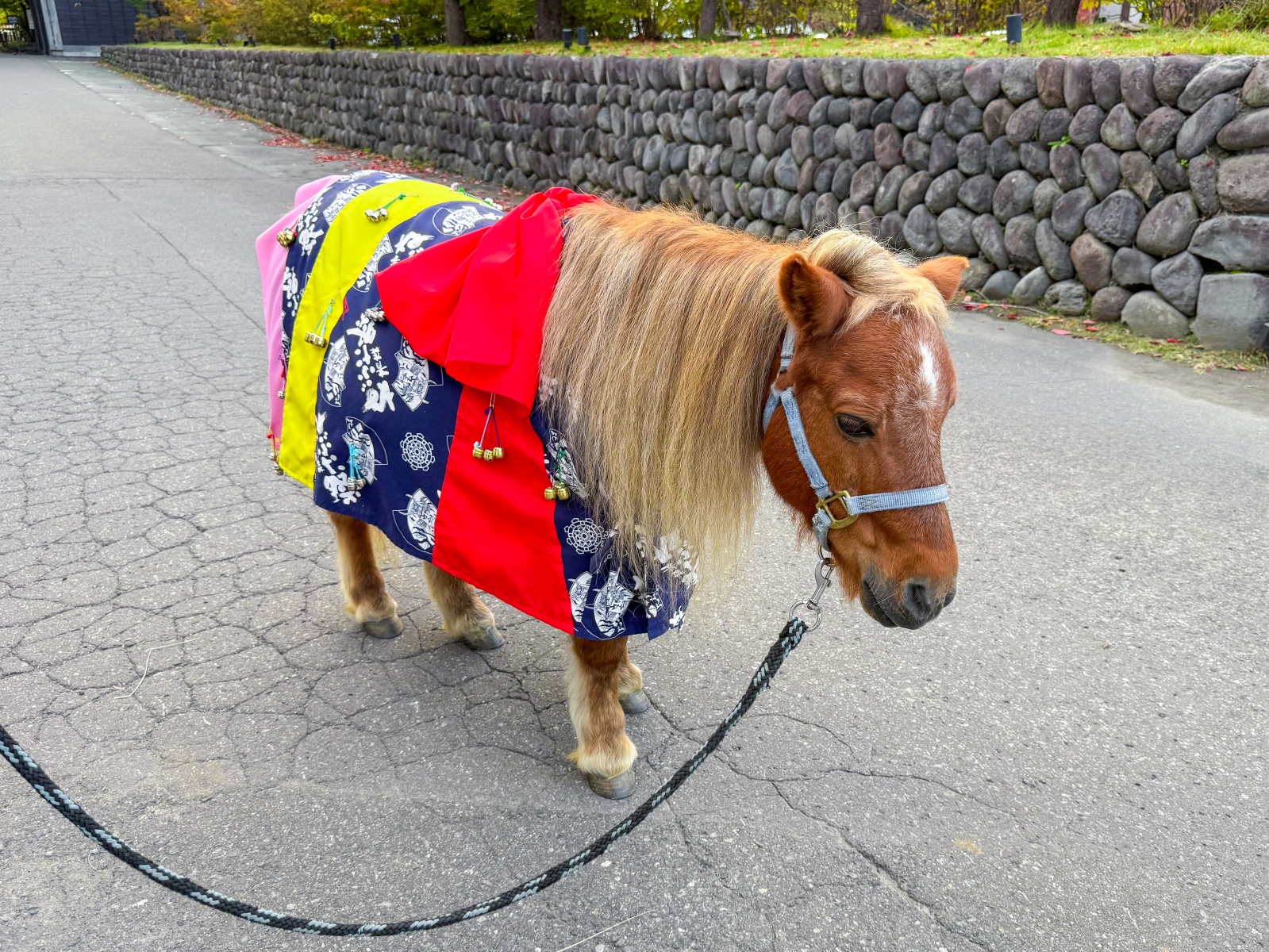 [日本青森]星野集團 青森屋 Hoshino Resorts Aomoriya 溫泉飯店 青森住宿推薦｜蘋果汁水龍頭 浮湯露天溫泉 森林泡湯｜晚餐海鮮自助餐＋早餐鮭魚卵吃到飽｜陸奧祭屋表演必看