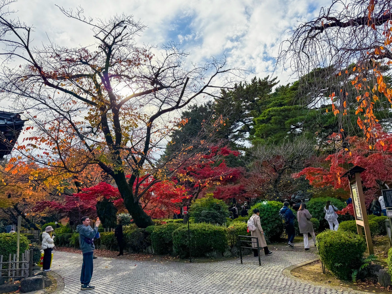 [日本東京]豪德寺 Gotokuji 招福貓神社 貓奴必收口袋名單｜11月意外遇見超美楓紅 神社氛圍超好拍｜招福貓打卡點密集到爆 拍好拍滿停不下來｜御守御朱印＋招福貓周邊伴手禮一次買齊