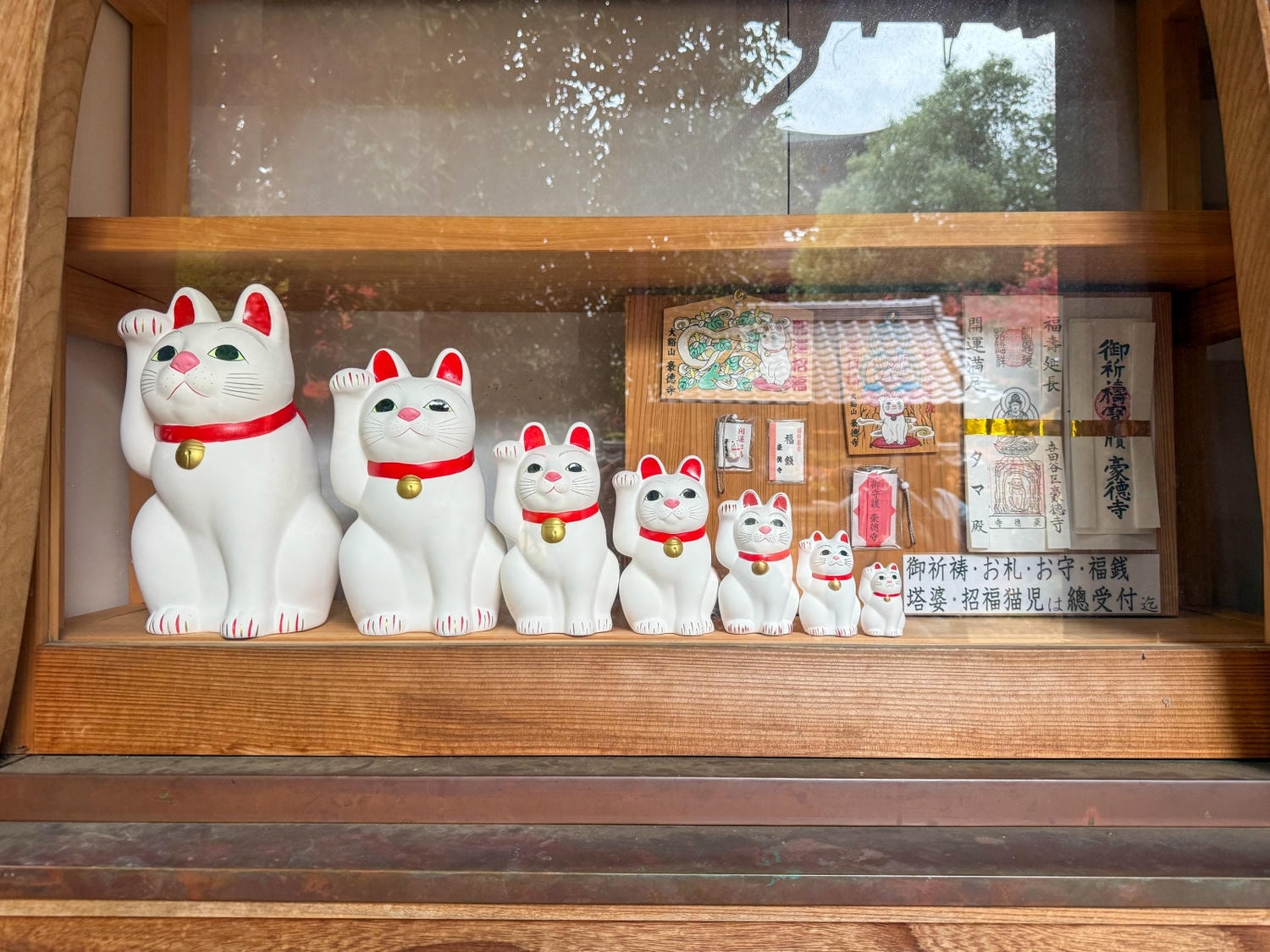 [日本東京]豪德寺 Gotokuji 招福貓神社 貓奴必收口袋名單｜11月意外遇見超美楓紅 神社氛圍超好拍｜招福貓打卡點密集到爆 拍好拍滿停不下來｜御守御朱印＋招福貓周邊伴手禮一次買齊