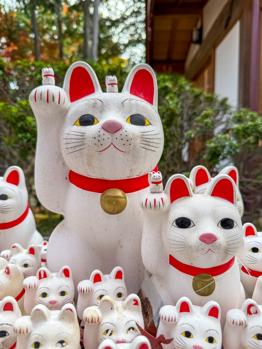 [日本東京]豪德寺 Gotokuji 招福貓神社 貓奴必收口袋名單｜11月意外遇見超美楓紅 神社氛圍超好拍｜招福貓打卡點密集到爆 拍好拍滿停不下來｜御守御朱印＋招福貓周邊伴手禮一次買齊