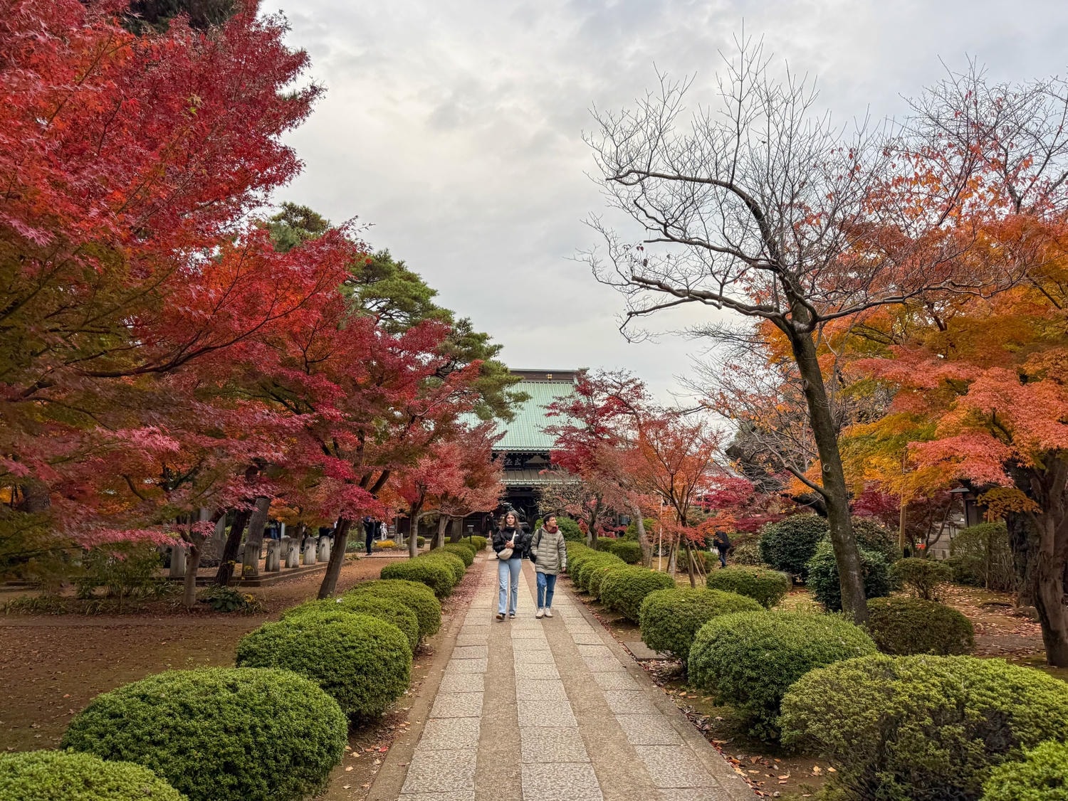 [日本東京]豪德寺 Gotokuji 招福貓神社 貓奴必收口袋名單｜11月意外遇見超美楓紅 神社氛圍超好拍｜招福貓打卡點密集到爆 拍好拍滿停不下來｜御守御朱印＋招福貓周邊伴手禮一次買齊