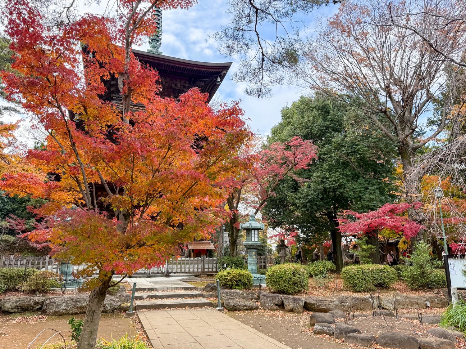 [日本東京]豪德寺 Gotokuji 招福貓神社 貓奴必收口袋名單｜11月意外遇見超美楓紅 神社氛圍超好拍｜招福貓打卡點密集到爆 拍好拍滿停不下來｜御守御朱印＋招福貓周邊伴手禮一次買齊