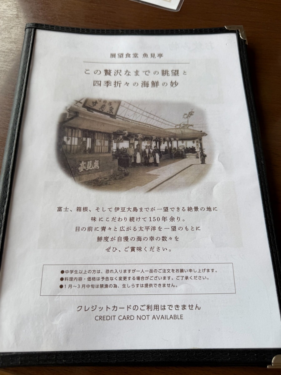 [日本神奈川]魚見亭 江之島海景海鮮名店｜生吻仔魚丼（生しらす丼）超特別必點｜露台海景＋榻榻米座位 日式氛圍任君挑選｜熱食清爽都好選 記得提早到容易客滿