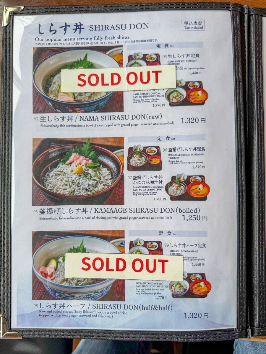 [日本神奈川]魚見亭 江之島海景海鮮名店｜生吻仔魚丼（生しらす丼）超特別必點｜露台海景＋榻榻米座位 日式氛圍任君挑選｜熱食清爽都好選 記得提早到容易客滿