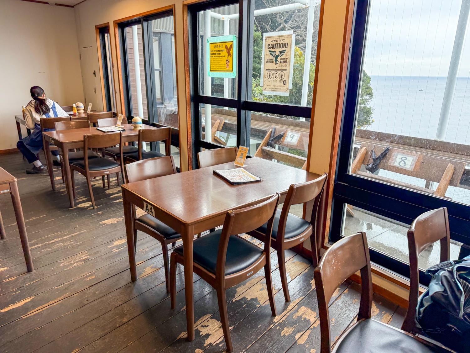 [日本神奈川]魚見亭 江之島海景海鮮名店｜生吻仔魚丼（生しらす丼）超特別必點｜露台海景＋榻榻米座位 日式氛圍任君挑選｜熱食清爽都好選 記得提早到容易客滿